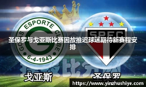 zoty中欧